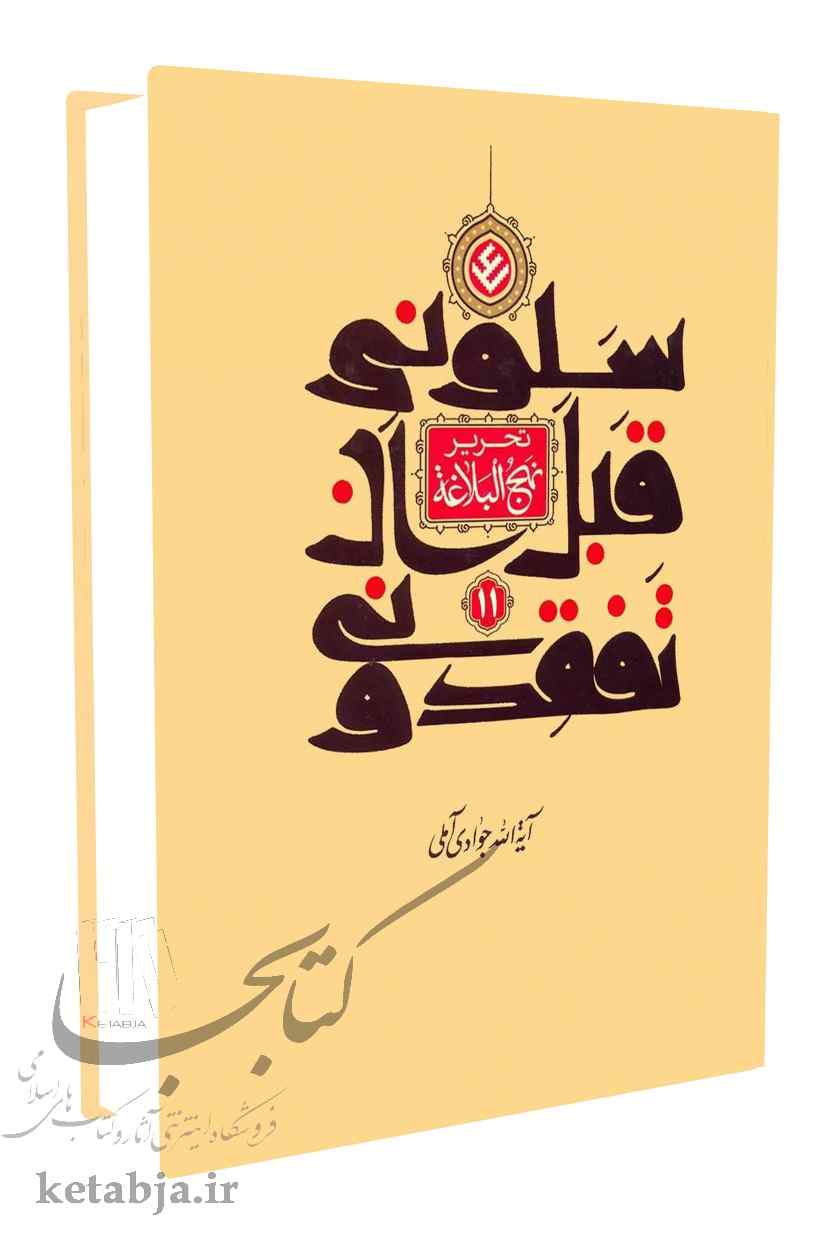 سلونی قبل أن تفقدونی؛ تحریر نهج البلاغه (جلد 11)